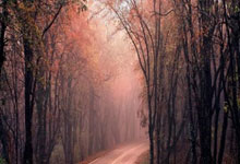 多多28官网：苏翊鸣领衔 首钢滑雪大跳台将再上演空中飞人大战人民日报客户端.