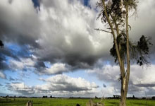 多多28官网：72.2%，皇马在周中欧冠之后的联赛中获得积分比例更高.