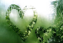 多多28官网：祝贺！这些运动员获表彰中国体育报微博.